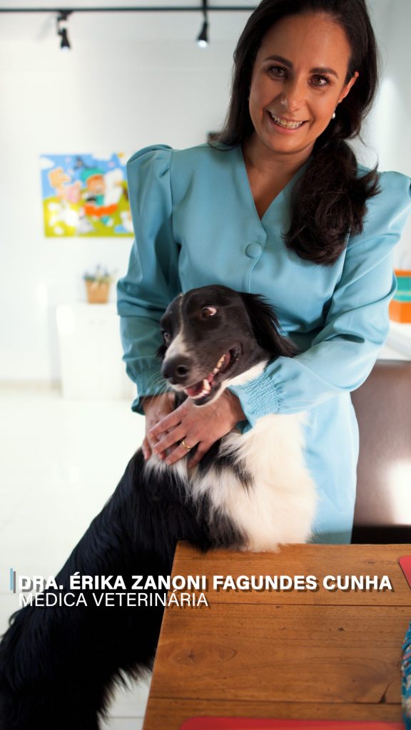 Aromaterapia para Animais
