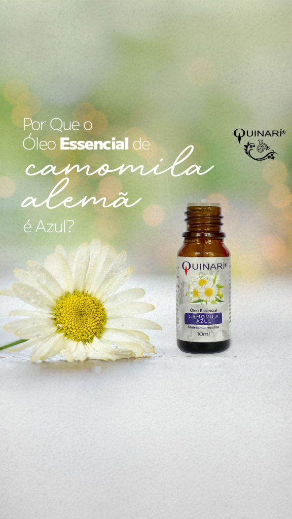 Óleo Essencial de Camomila Alemã Azul