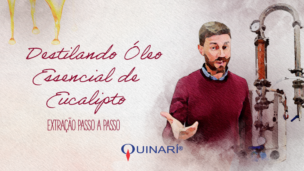 Destilando Óleo Essencial de Eucalipto