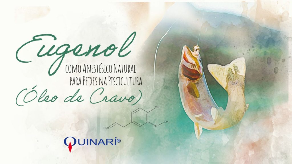 Eugenol na Piscicultura