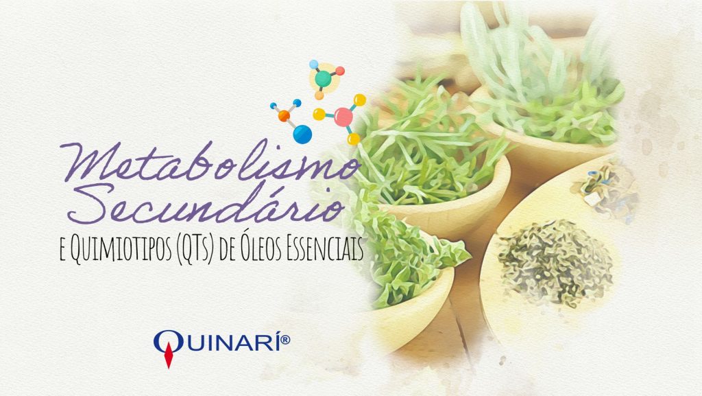 Metabolismo Secundário dos Vegetais
