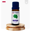 Óleo Essencial Patchouli QUINARÍ